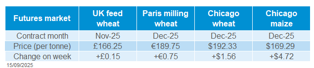 Global Grain futures 15 09 2025.png